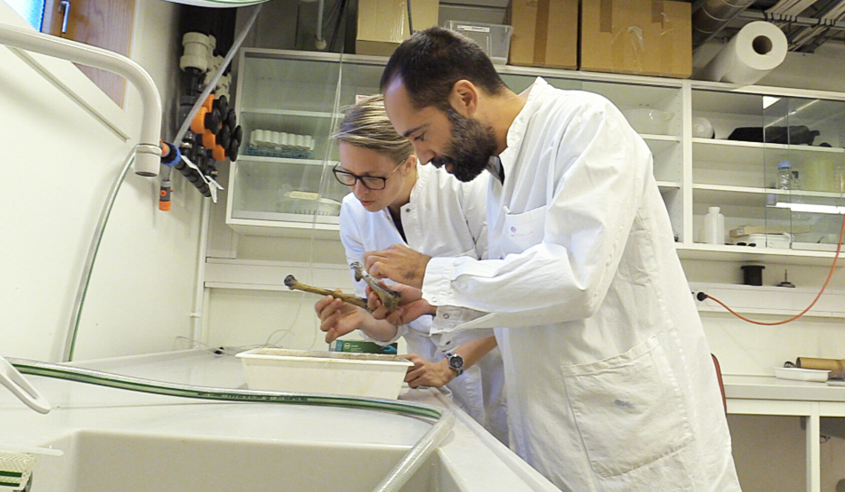 Andreas R. Graven, NORCE scientists Antonio Garcia-Moyano and Gro Bjerga., Antonio gro enzymer bein cocktail1, ,